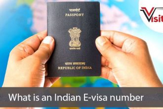 What is an Indian E-visa number?