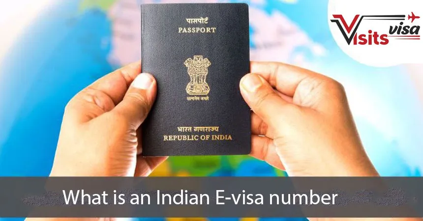 What is an Indian E-visa number?