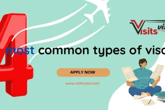 What are the 4 most common types of visas?