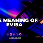 What is the meaning of eVisa?