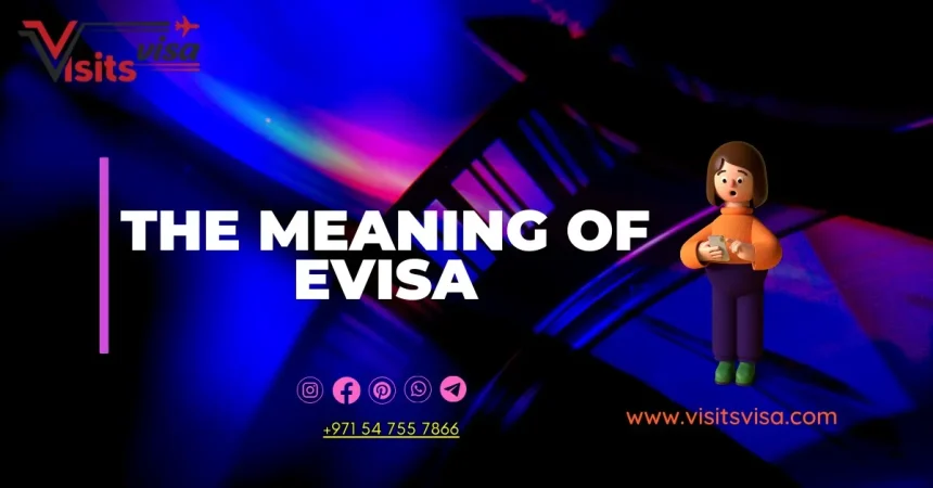 What is the meaning of eVisa?