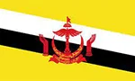 flag of Brunei Citizens